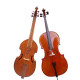 Viole de gambe & violoncelle
(©tousdroitsréservés)