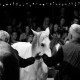 Tact et Tempo  © Alexandra Yonnet - Chapiteau de Loix- Mai 2015